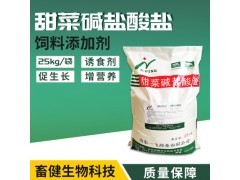 現(xiàn)代農(nóng)業(yè)產(chǎn)業(yè)鏈全景 從田間到餐桌的多元生態(tài)