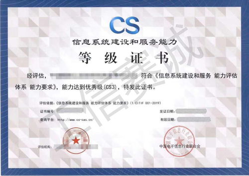 CS認證首次申請級別指南 軟件開發類企業可直接申請幾級？